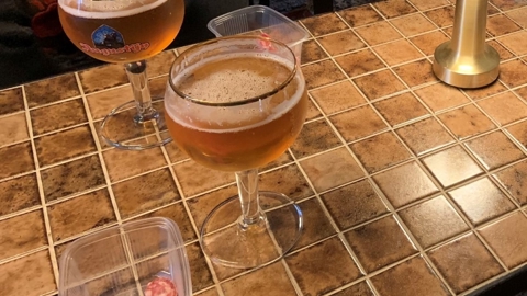 Winterwandeling 2023 W (47)