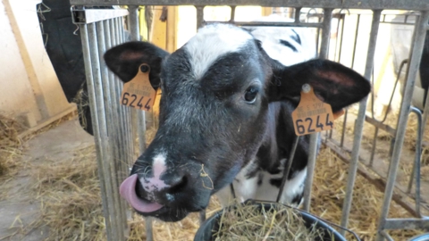 Fietstocht 2025 W (13)