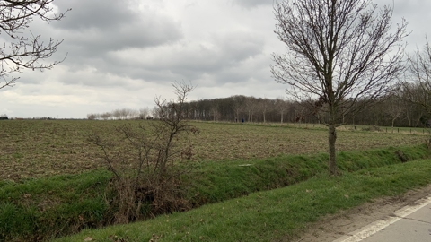 Winterwandeling 2023 W (39)