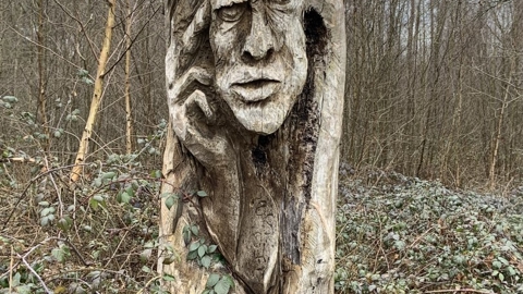 Winterwandeling 2023 W (19)