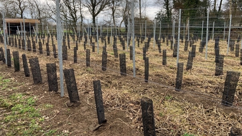 Winterwandeling 2023 W (23)