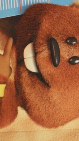 Kids Toer Winter 2019 W (30)