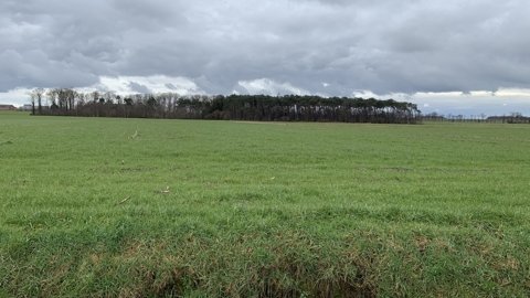 Winterwandeling 2023 W (06)