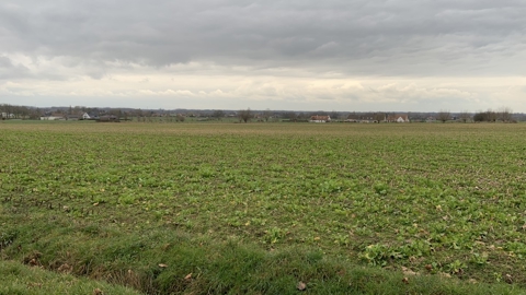 Winterwandeling 2023 W (38)