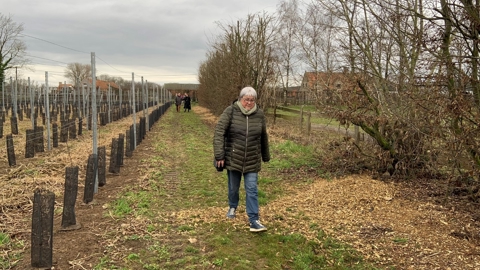 Winterwandeling 2023 W (24)